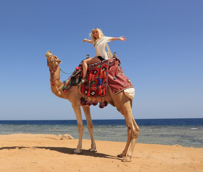 shutterstock_1494782450